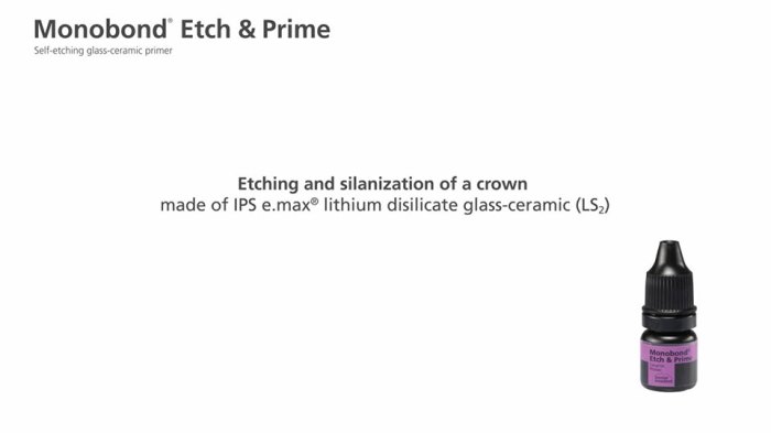 Monobond plus universal primer