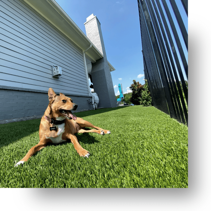 Pavers grass turf backyard concrete paver driveway design paving garden landscape landscaping designs blocks stone tiles article visit cool driveways