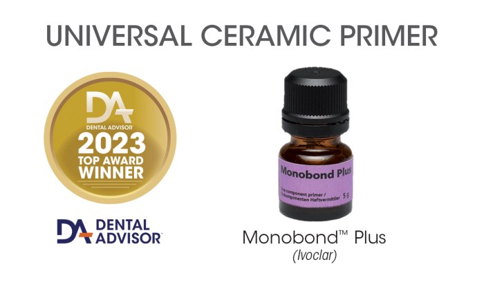 Monobond plus universal primer