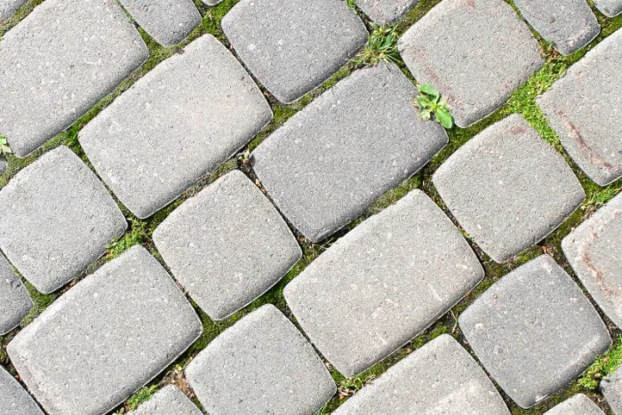 Grows paving