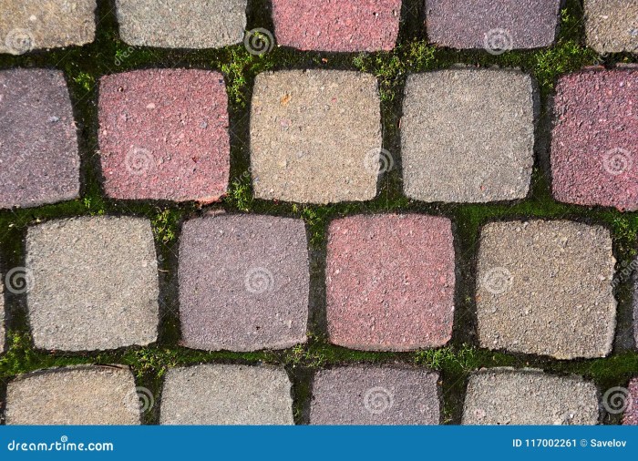Paving stones grass photography stock ground